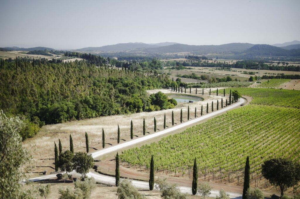 wedding at Conti di San Bonifacio photographer in Tuscany Andrea Pitti