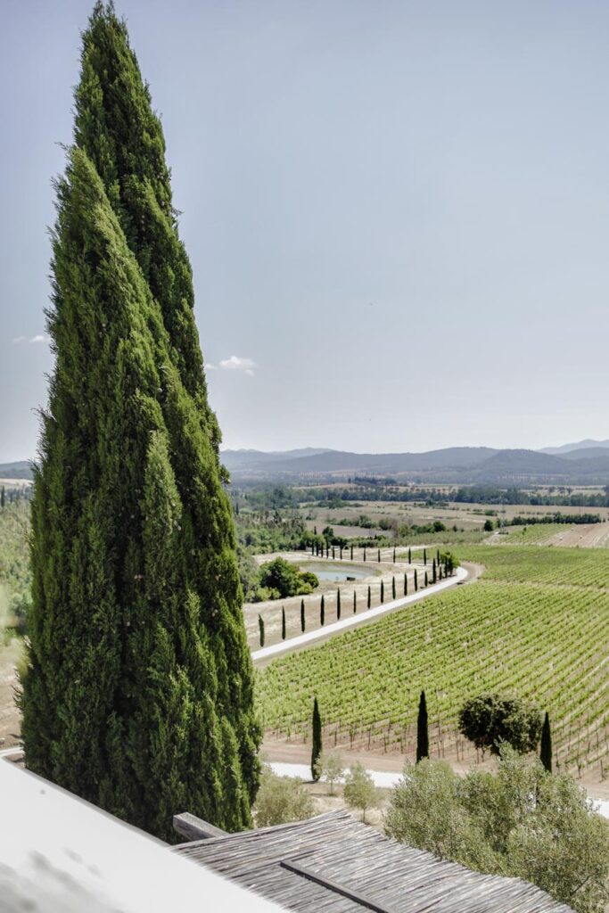 wedding at Conti di San Bonifacio photographer in Tuscany Andrea Pitti