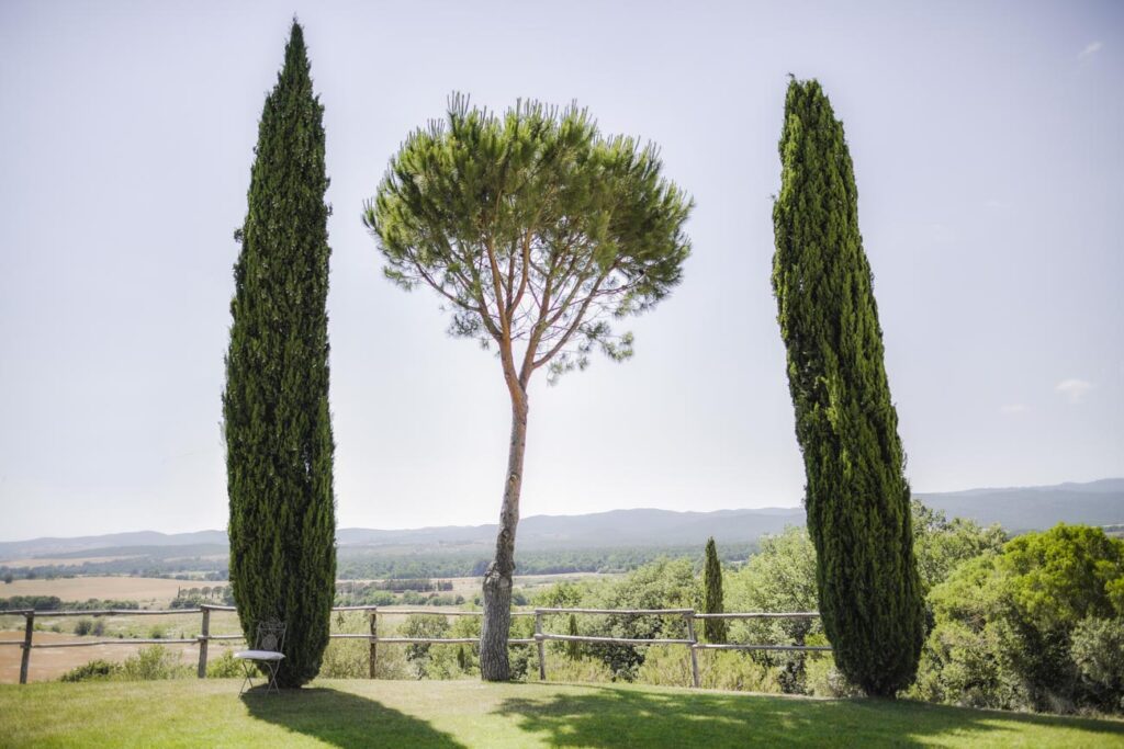 wedding at Conti di San Bonifacio photographer in Tuscany Andrea Pitti